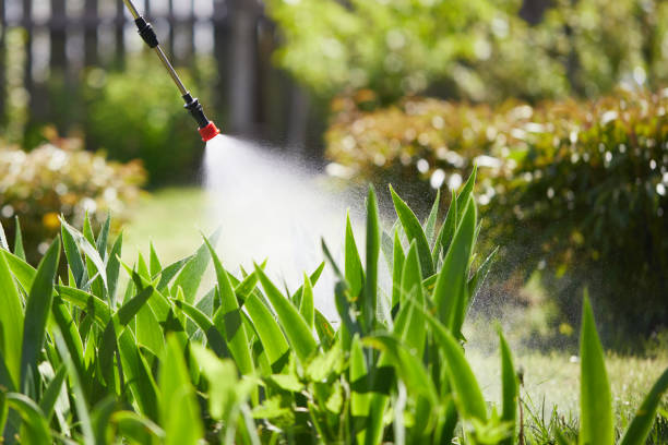 24/7 Emergency Wasp Removal experts in Apalachicola, FL