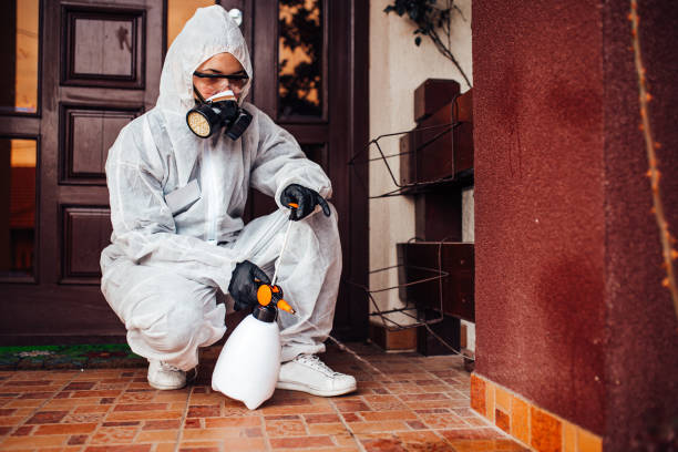 Reliable Wasp Removal contractor in Apalachicola, FL by Show Me Pest Control